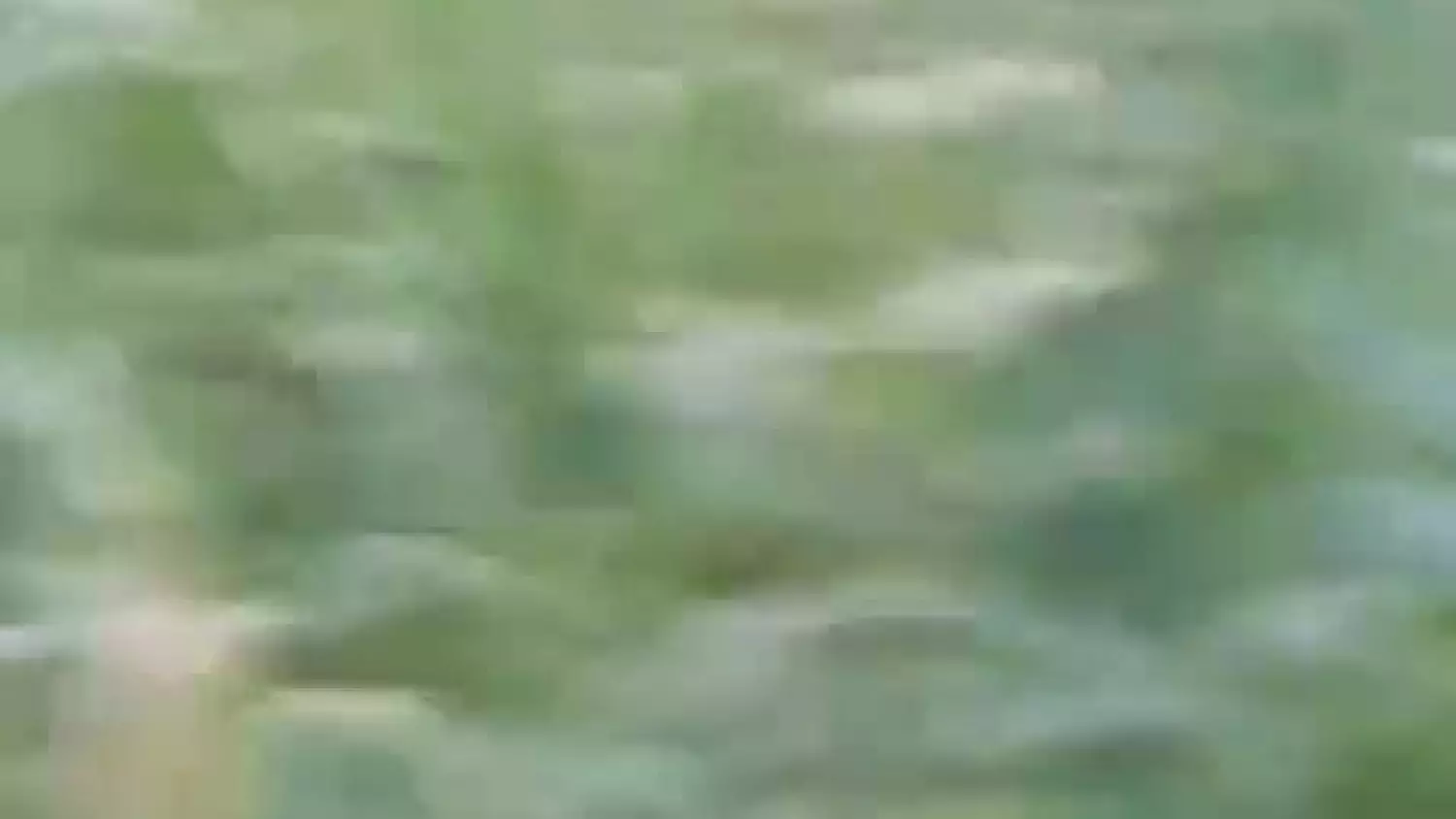 whatsapp-video-2025-10-13-at-093650.mp4
